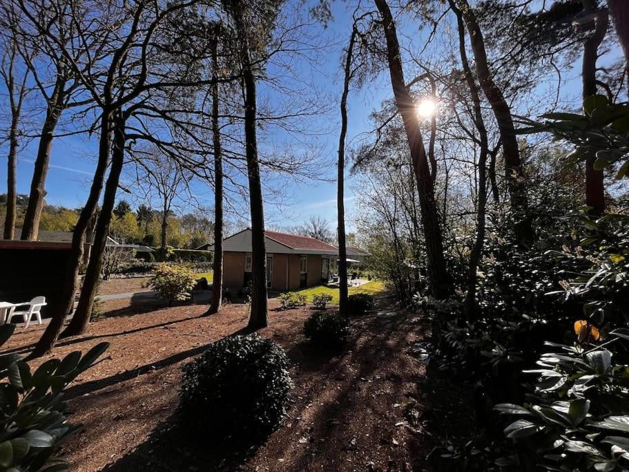 Fijne Plek Met Eigen Bos 2000M2 En Gratis Linnen En Handdoeken!! เดเนกัมป์ ภายนอก รูปภาพ